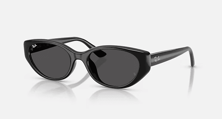 Polished Black Sunglasses